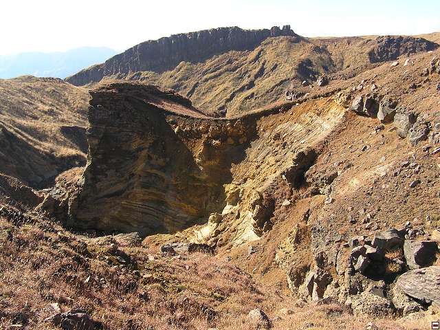img00011.jpg