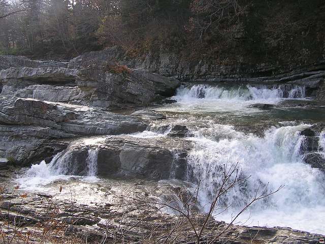 img00001.jpg