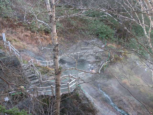 img00005.jpg