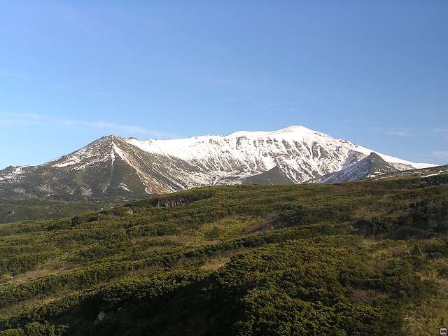img00006.jpg