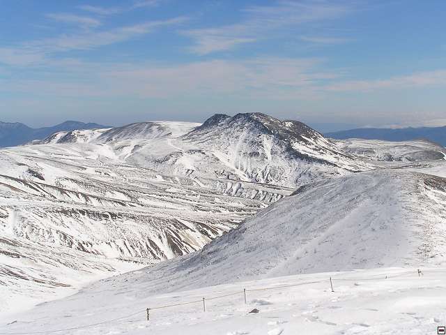 img00017.jpg