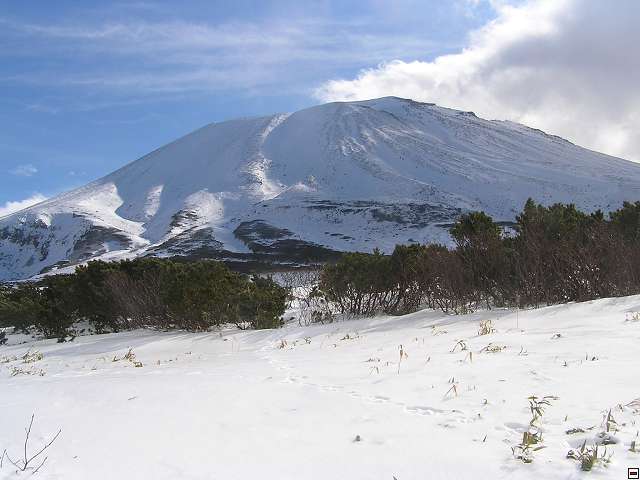 img00028.jpg