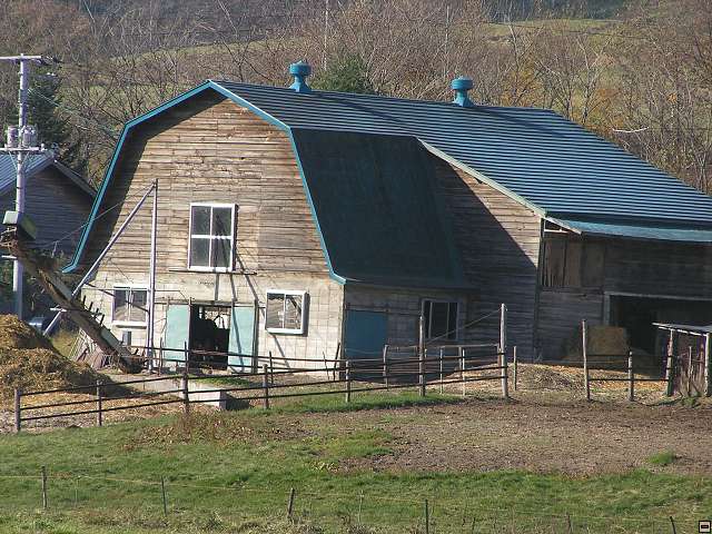 img00030.jpg