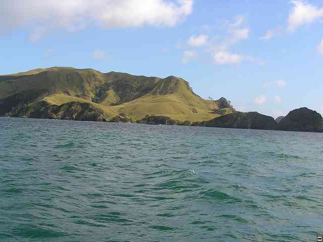 NZ021.jpg