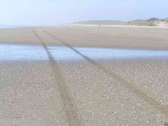 NZ081.jpg