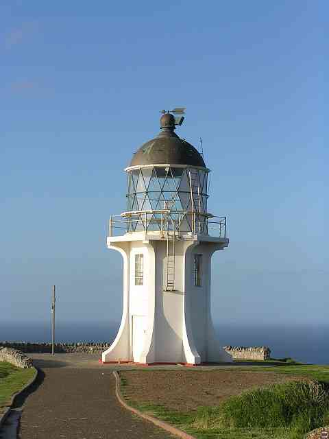 NZ115.jpg