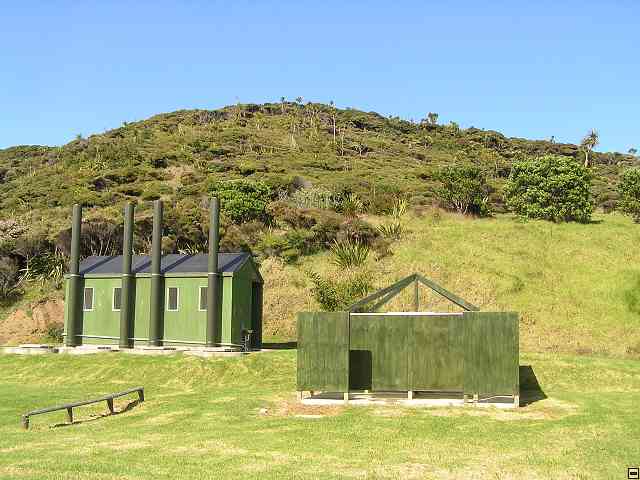NZ132.jpg