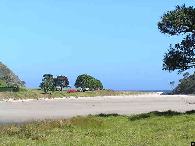 NZ134.jpg
