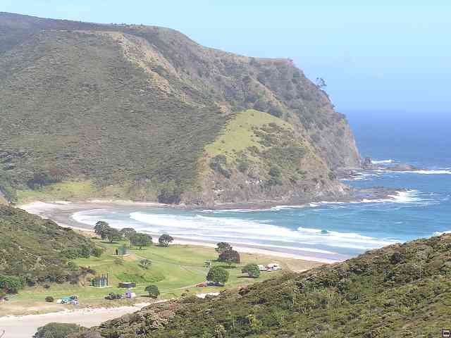 NZ155.jpg