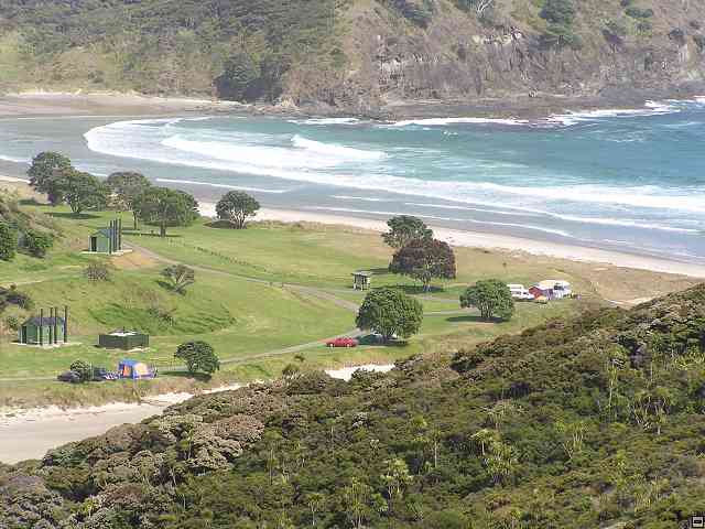NZ156.jpg