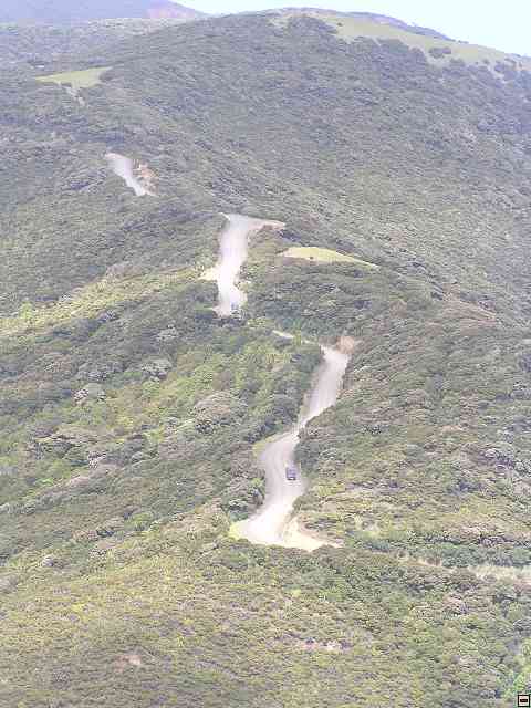 NZ159.jpg
