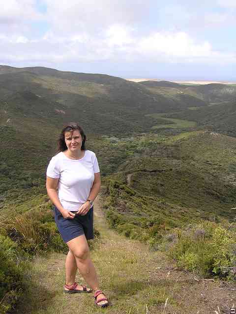 NZ160.jpg