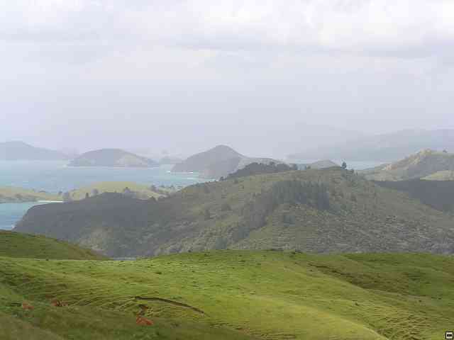 NZ169.jpg