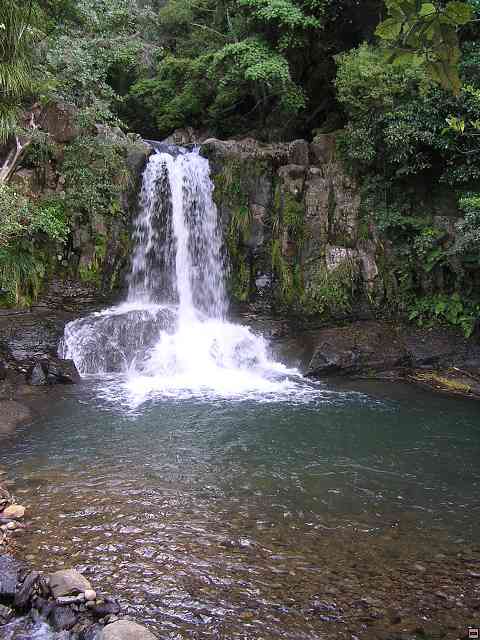 NZ179.jpg