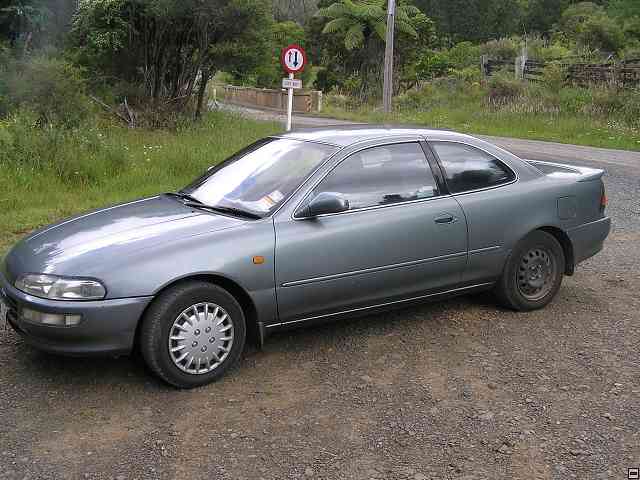 NZ185.jpg