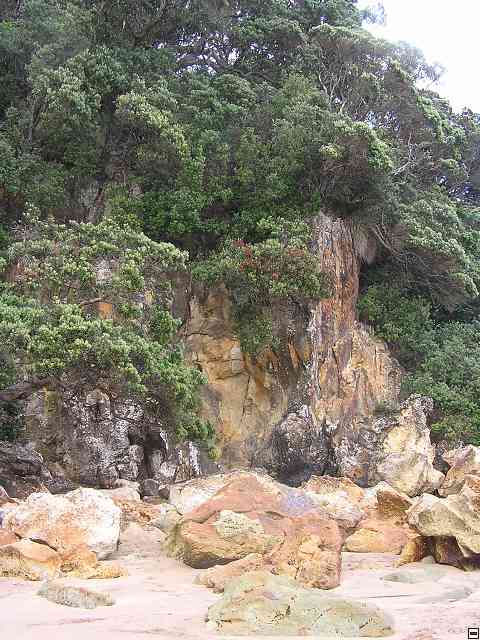 NZ226.jpg