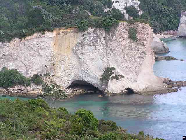 NZ235.jpg