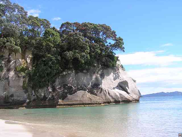 NZ240.jpg