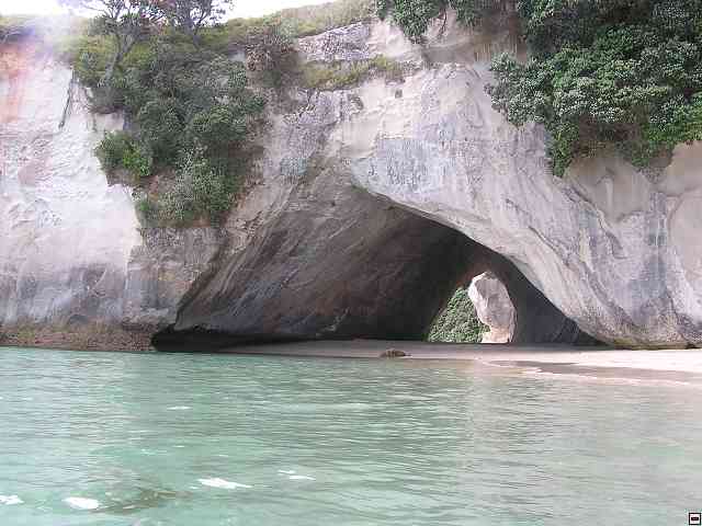 NZ258.jpg