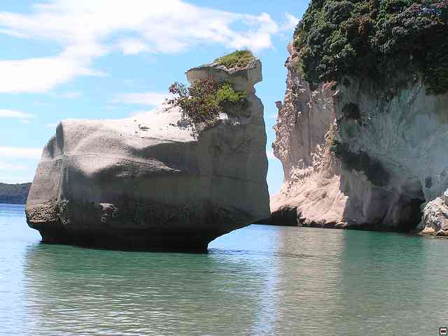 NZ266.jpg