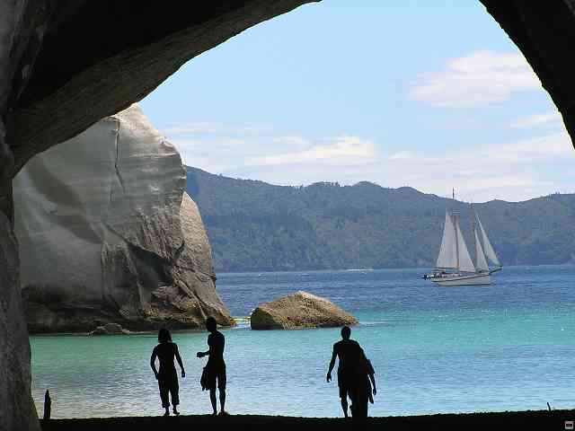 NZ281.jpg