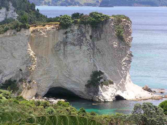NZ288.jpg
