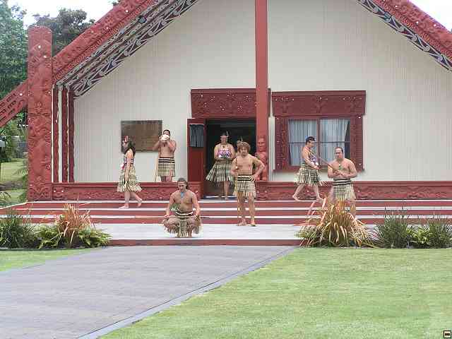 NZ304.jpg