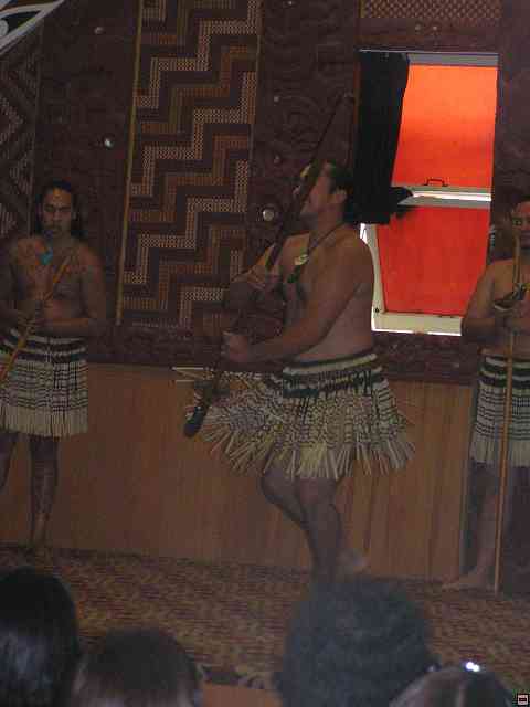 NZ321.jpg