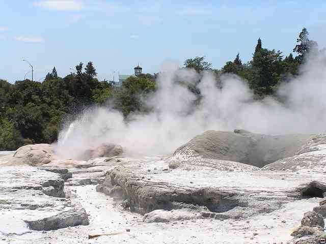 NZ359.jpg