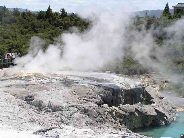 NZ368.jpg