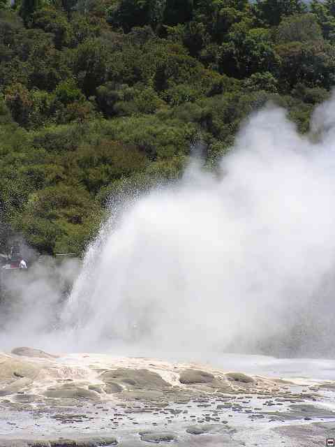NZ370.jpg