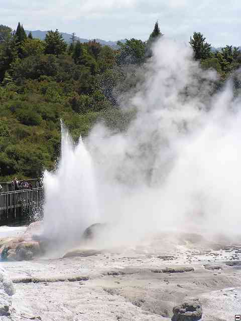 NZ374.jpg