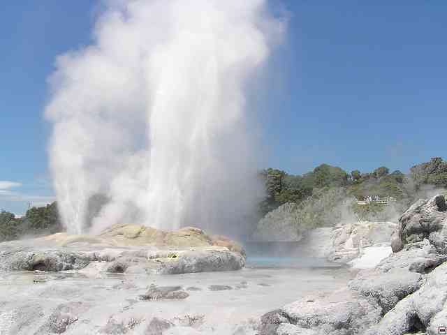 NZ398.jpg