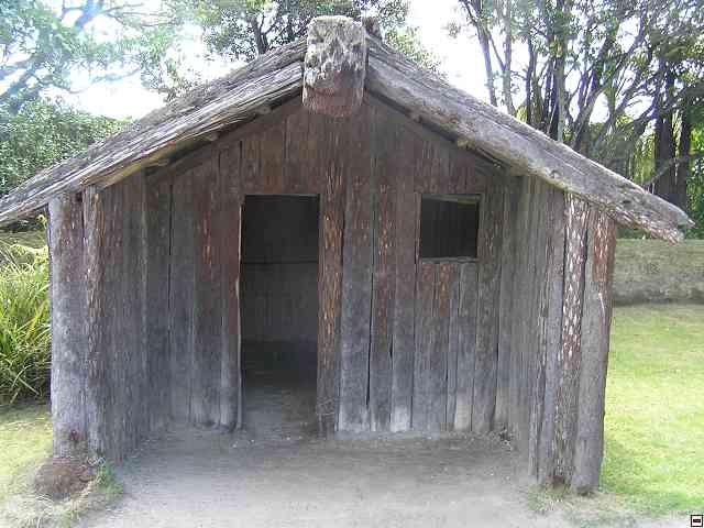 NZ406.jpg