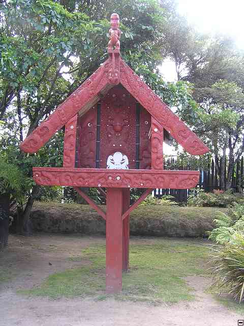 NZ407.jpg
