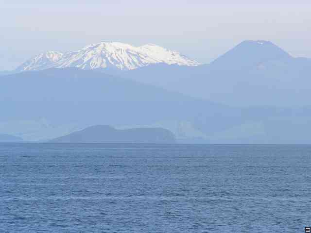 NZ441.jpg