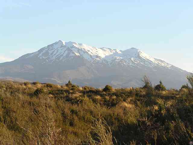 NZ453.jpg
