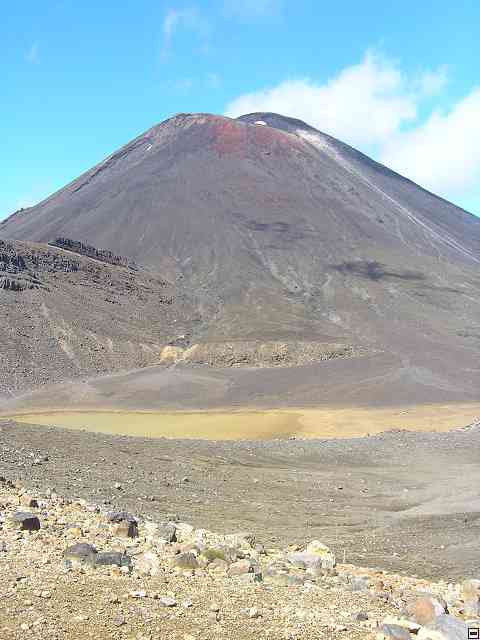 NZ482.jpg
