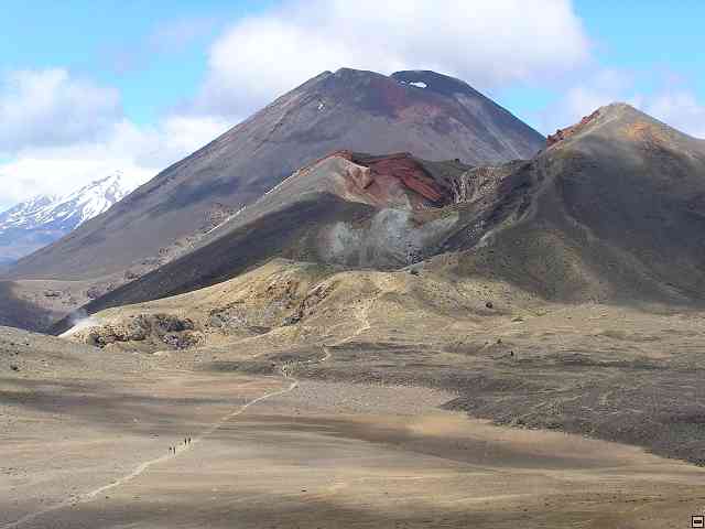 NZ511.jpg
