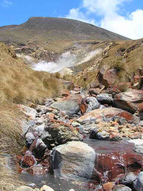 NZ522.jpg