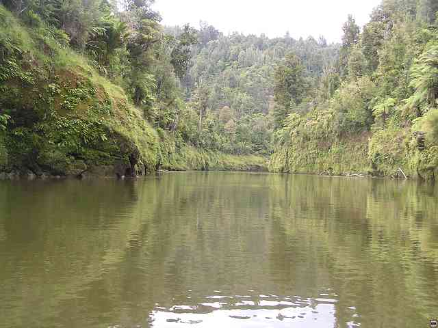 NZ525.jpg
