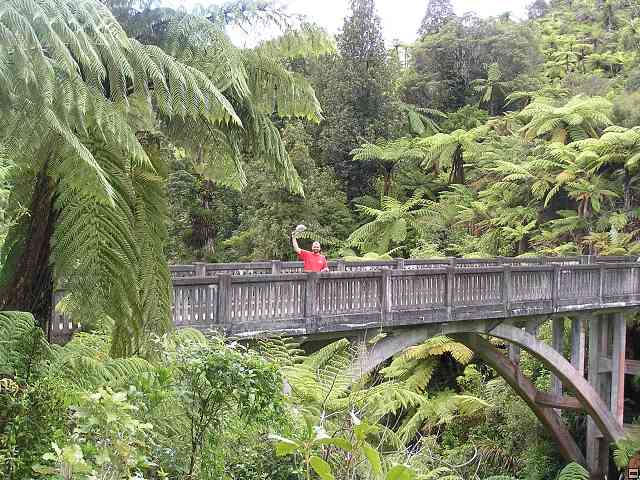 NZ534.jpg