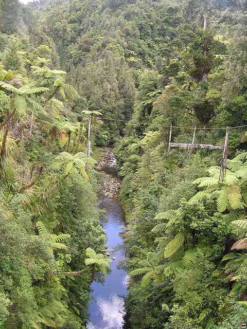 NZ537.jpg