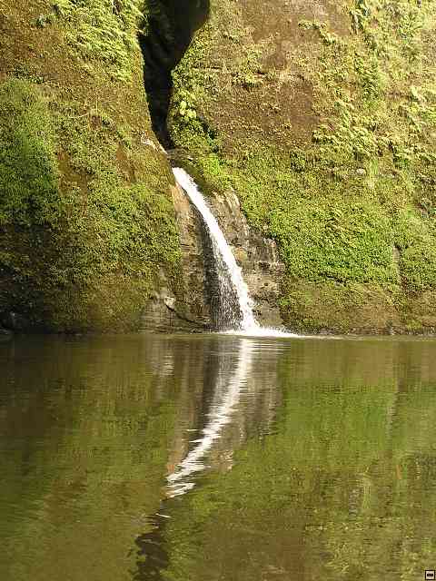 NZ561.jpg