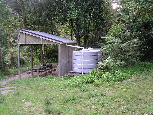 NZ567.jpg