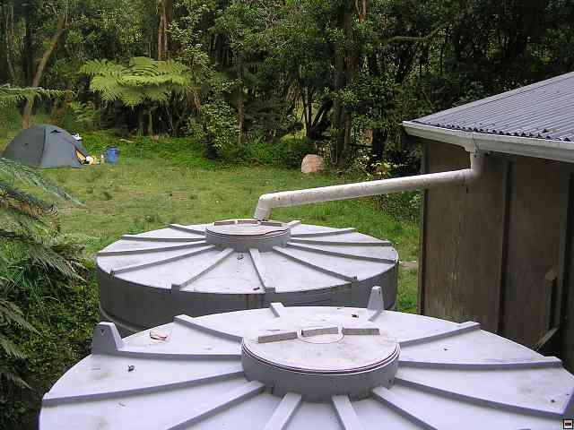 NZ570.jpg