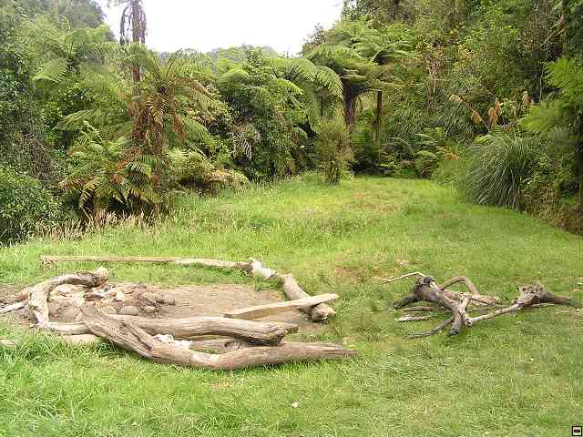 NZ572.jpg