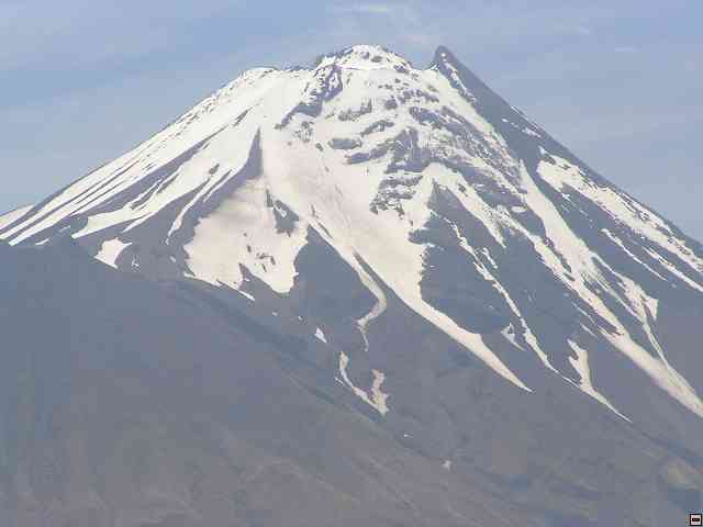 NZ605.jpg