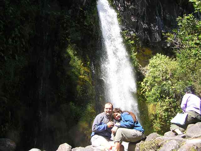 NZ616.jpg