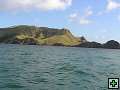 thn_NZ021.jpg